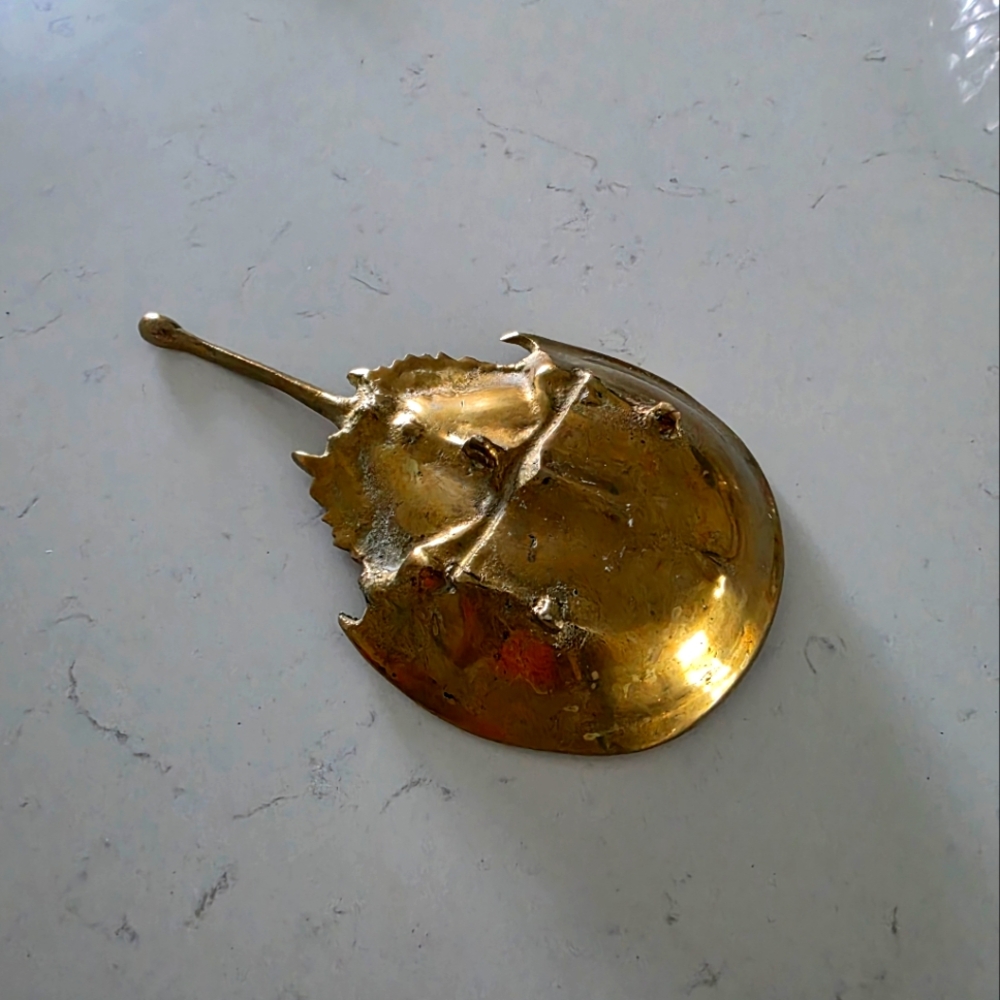 Brass Horseshoe Crab Paperweight